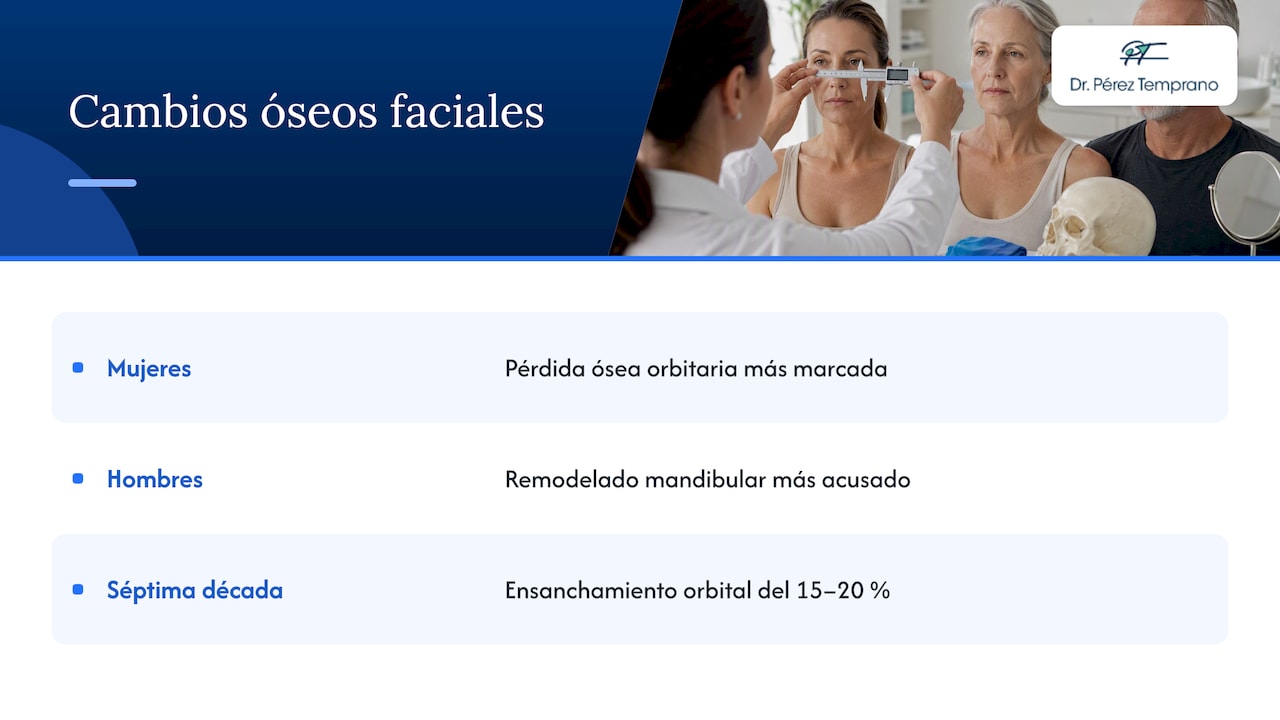 Diferencias regionales del envejecimiento óseo facial